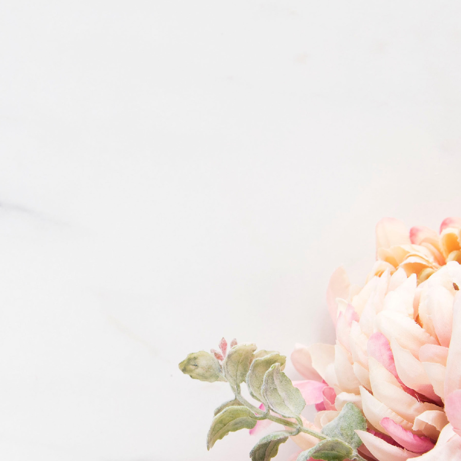 Onoranze Funebri Donadel